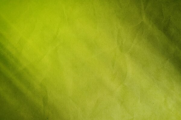 Textures arbitraires de couleur vert marais