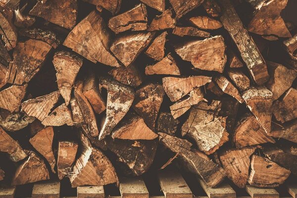 Firewood stacked on a wooden pallet