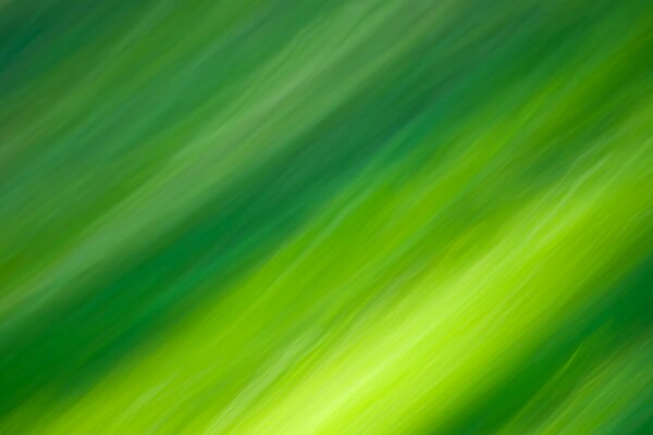 Lignes graissées de couleur verte. Abstraction