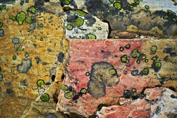 Stone texture with inclusions of different sizes