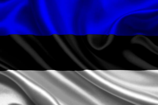 Bandera de Estonia en tela plisada