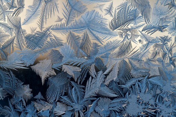 Frost covered the glass with a pattern