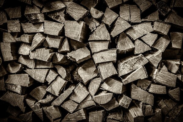 Black and white photo of a woodcutter