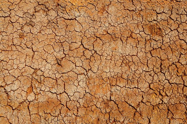 Texture immagine del deserto crepa