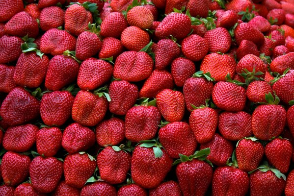 Fraises rouges avec des feuilles vertes