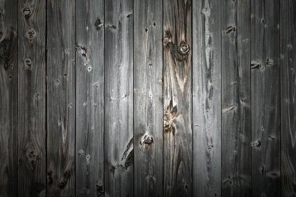 Madera. Pared de madera. Gris