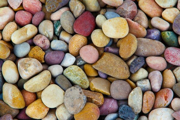 Colorful pebbles on the seashore