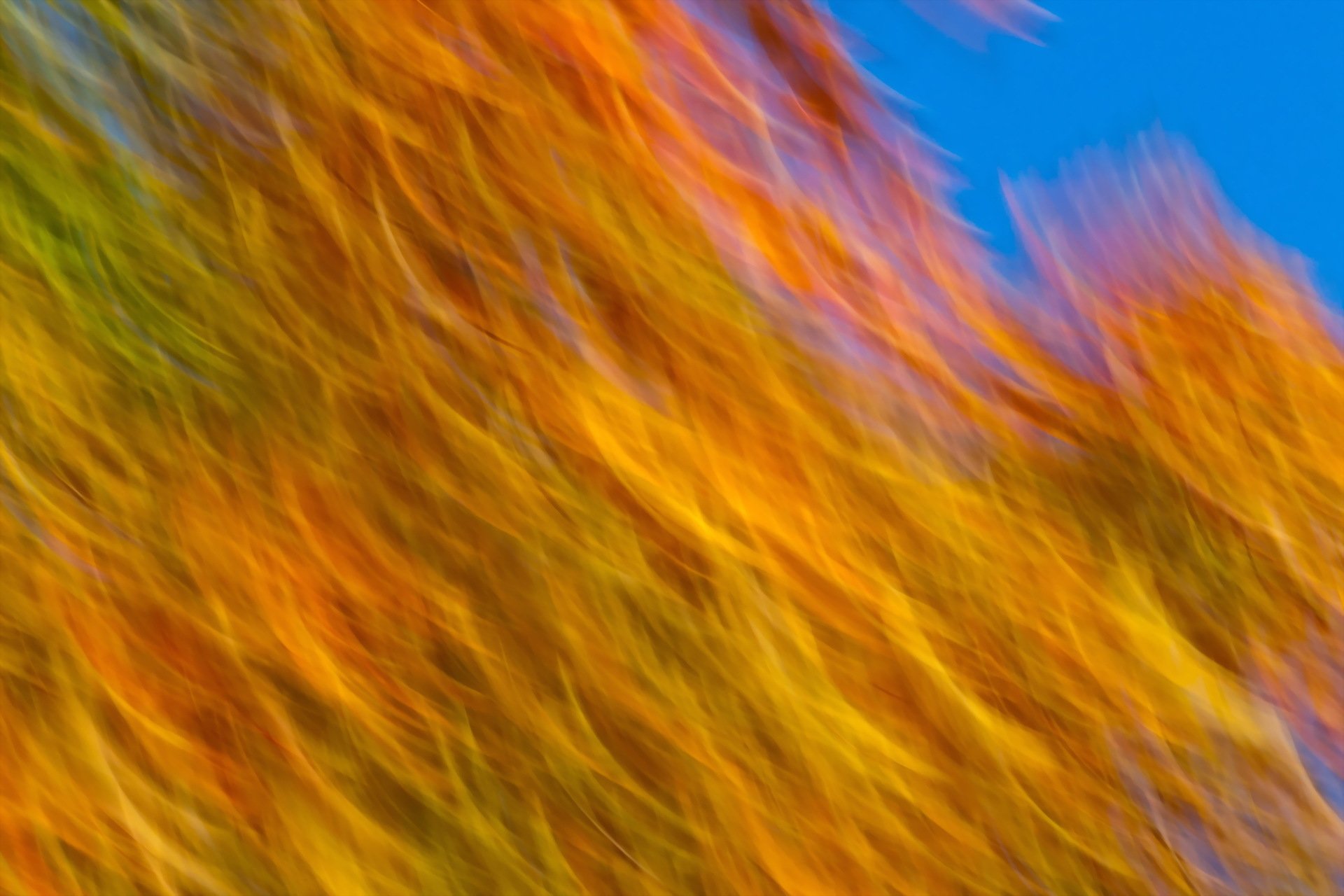 color forma textura