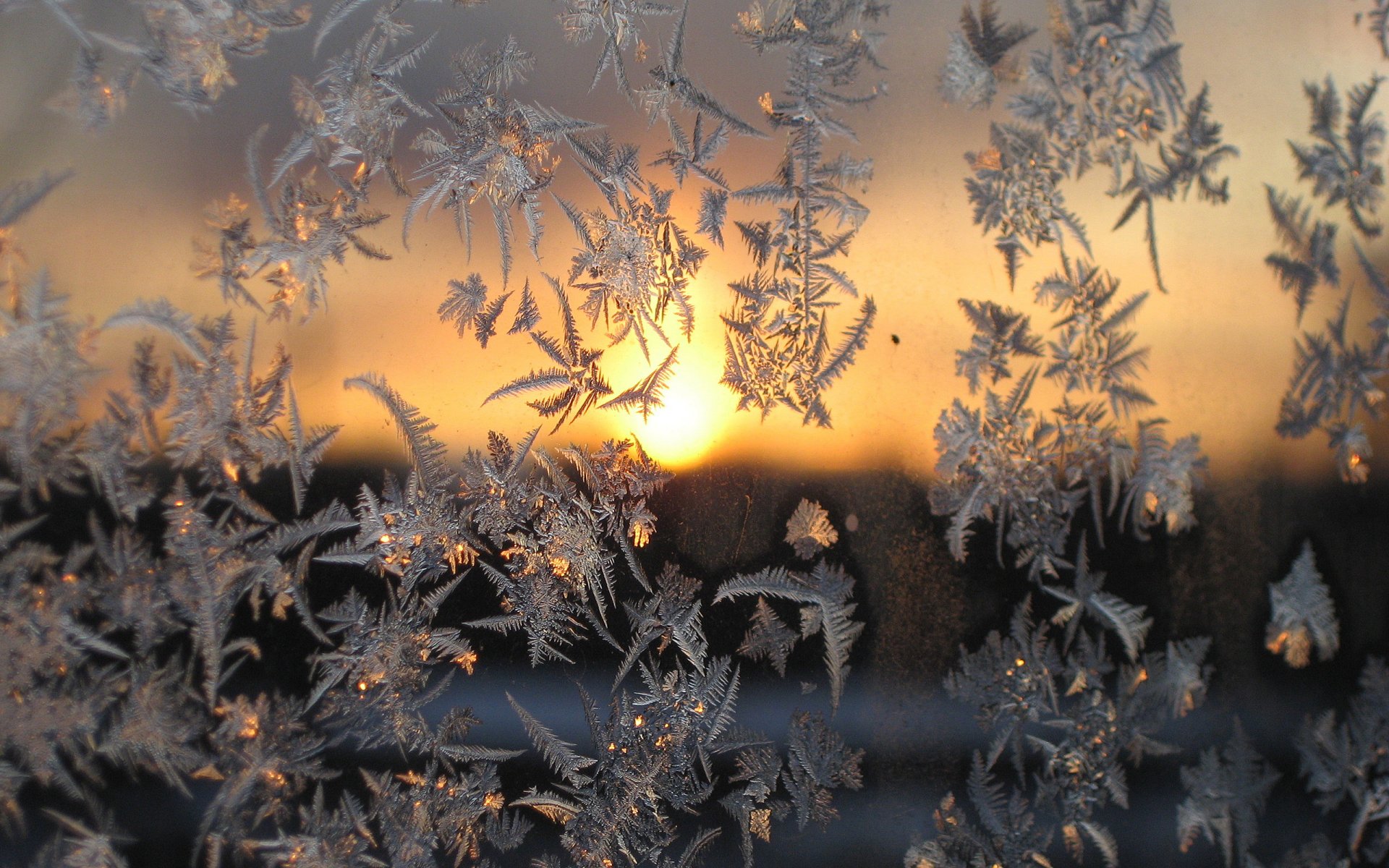 gros plan gel coucher de soleil verre hiver froid