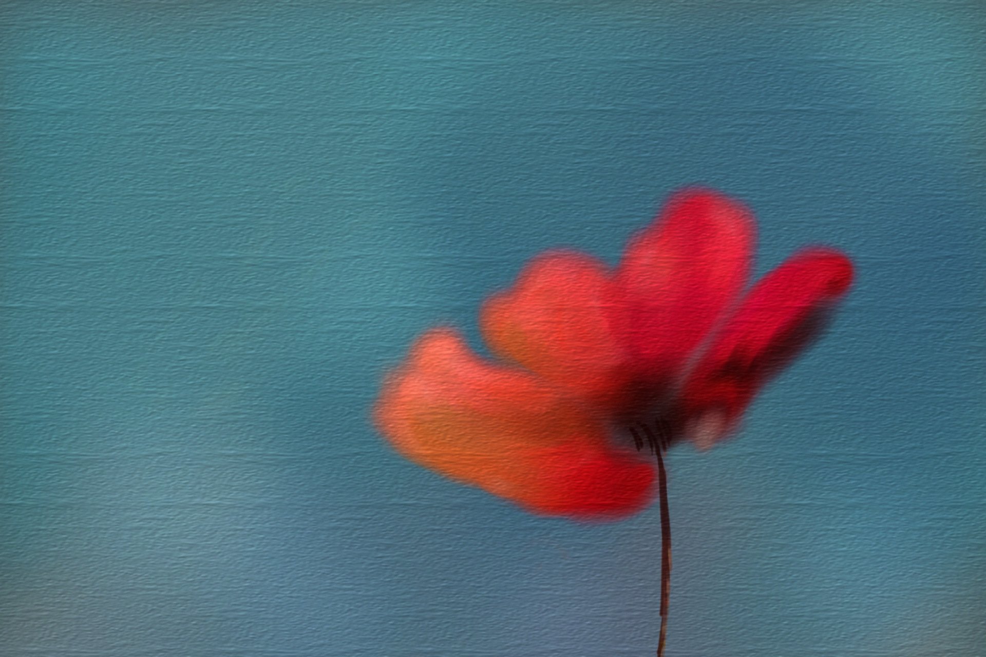 flower background texture