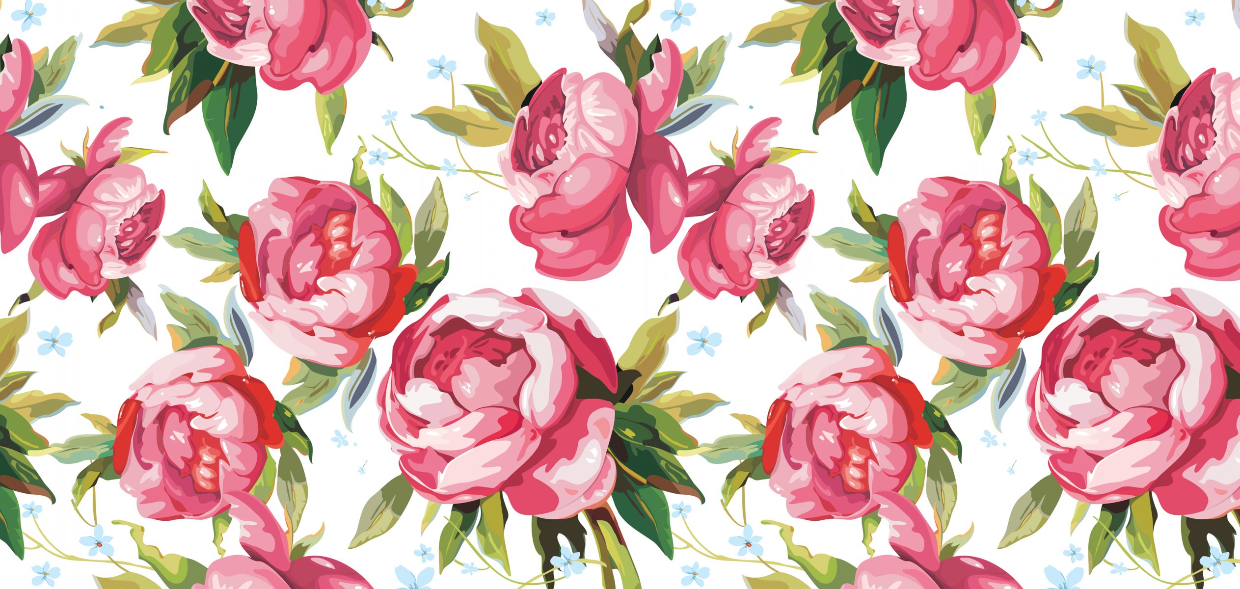 peonies petals buds picture art