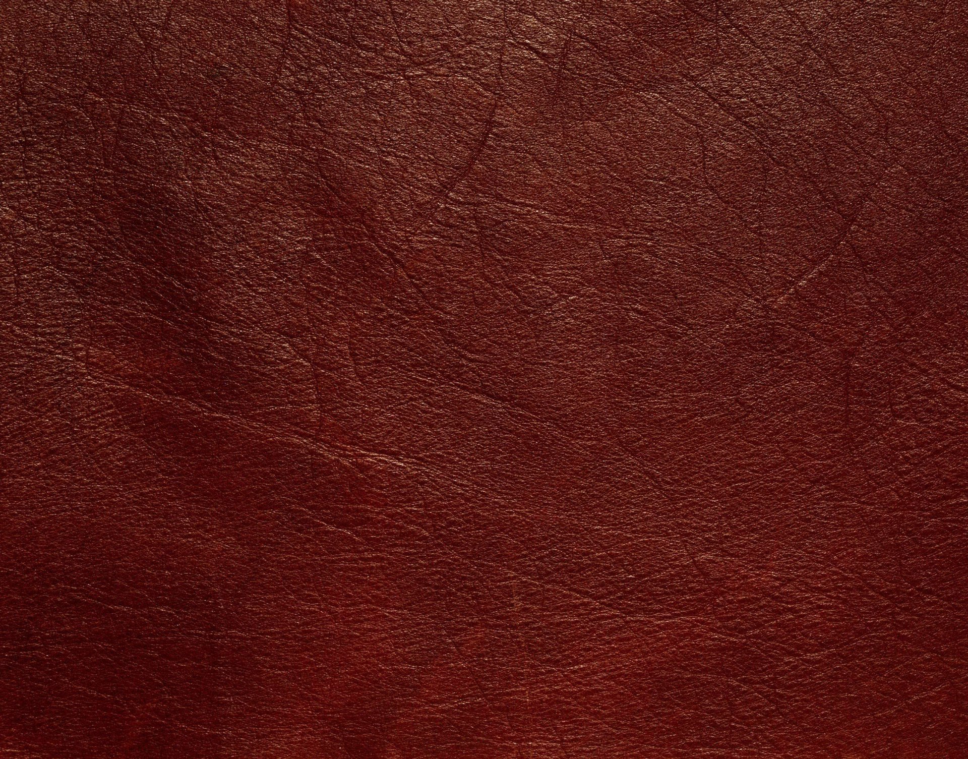 texture pelle venature medicazione texture animale sfondo sul lavoro
