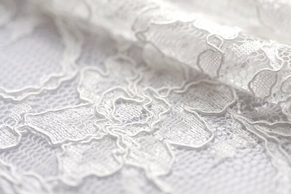 Dentelle blanche. Beau motif