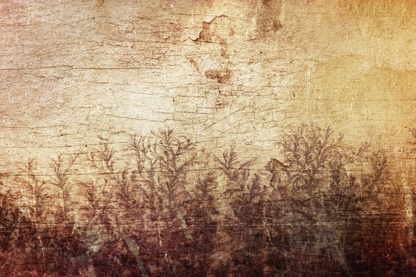 Zeichnung auf dem Baum der Pflanze Blätter