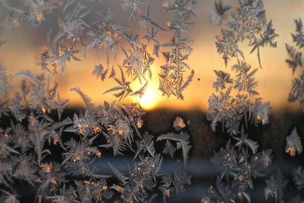 Romantic sunset behind glass with a frosty pattern