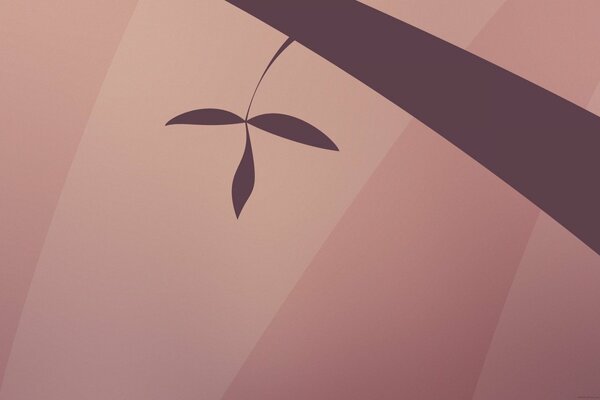 A leaf on a tree on a pink background