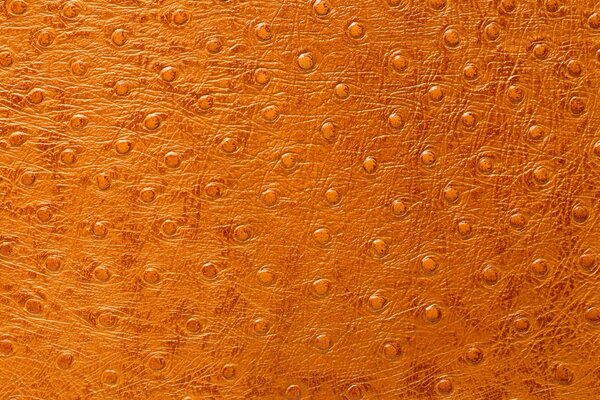 Orangefarbene Haut mit Nabeln