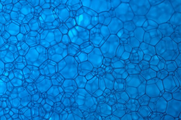 Cellule de texture sur fond bleu