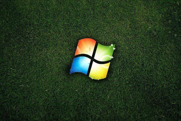 Logo sur fond d herbe verte
