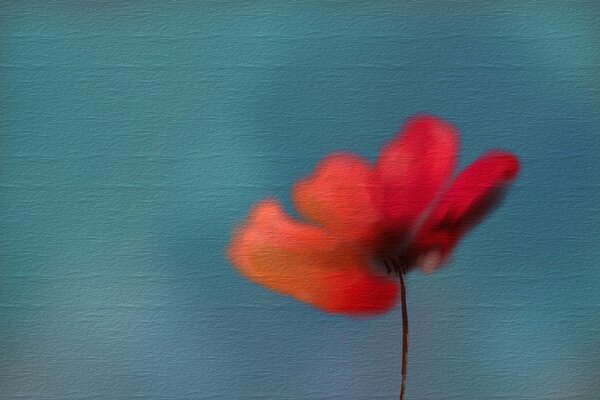 A bright flower on a rough textured background