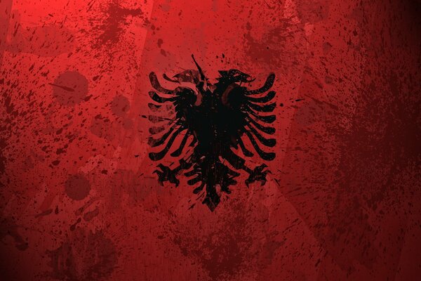 Drapeau de l Albanie sur fond rouge
