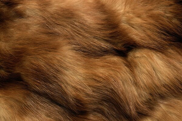 Textura de piel gruesa de animal