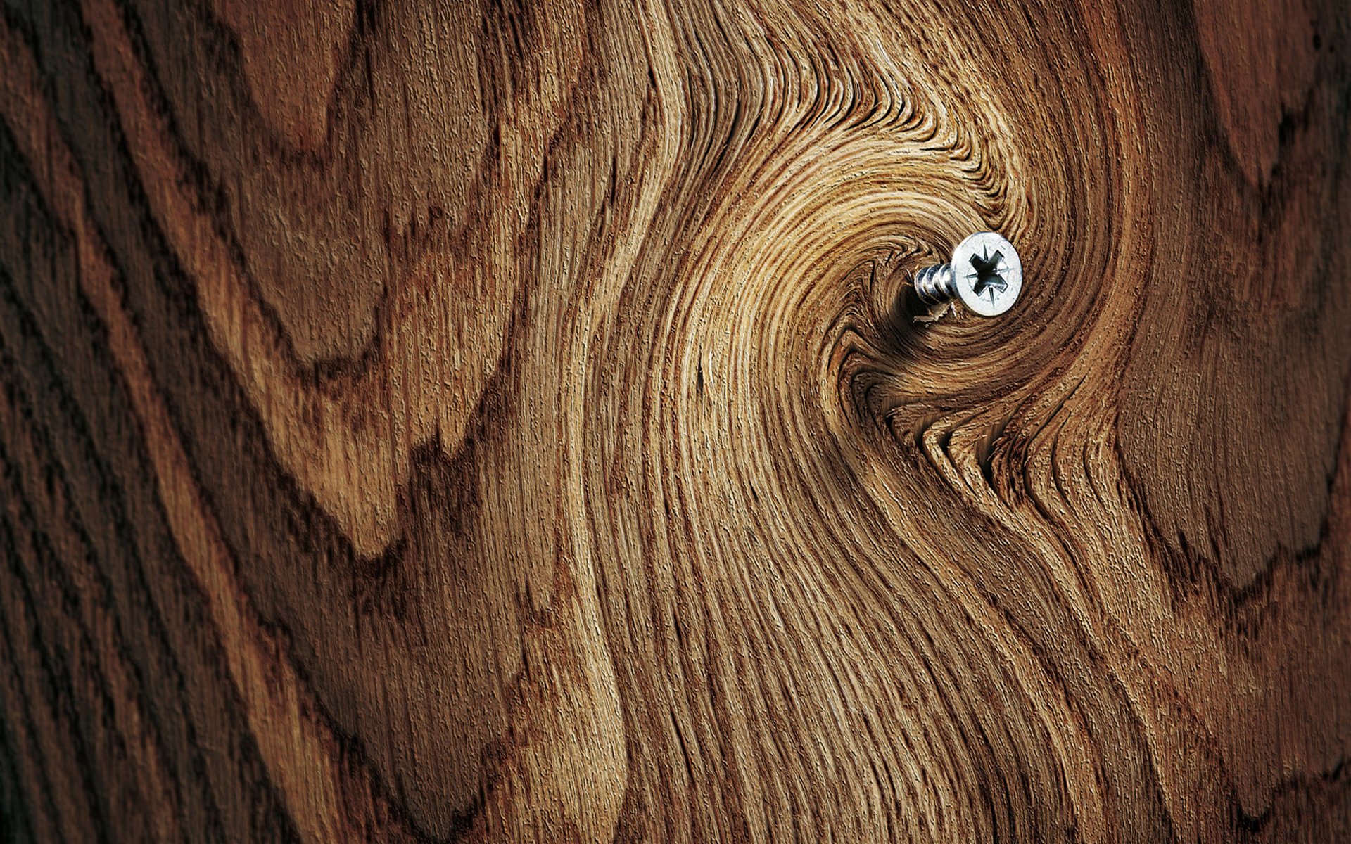 background wood board tree surface screw thread close up