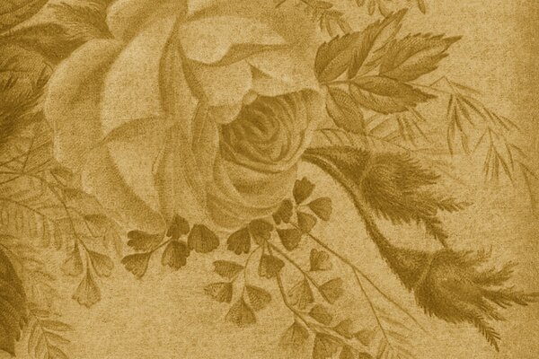 Wzory w stylu vintage w kształcie róży