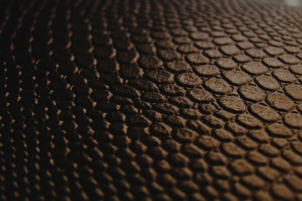 Brown leather crocodile texture is very expensive