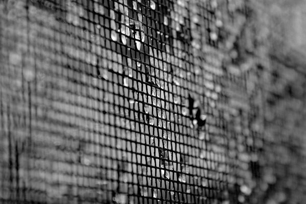 Texture maille gouttes noir et blanc