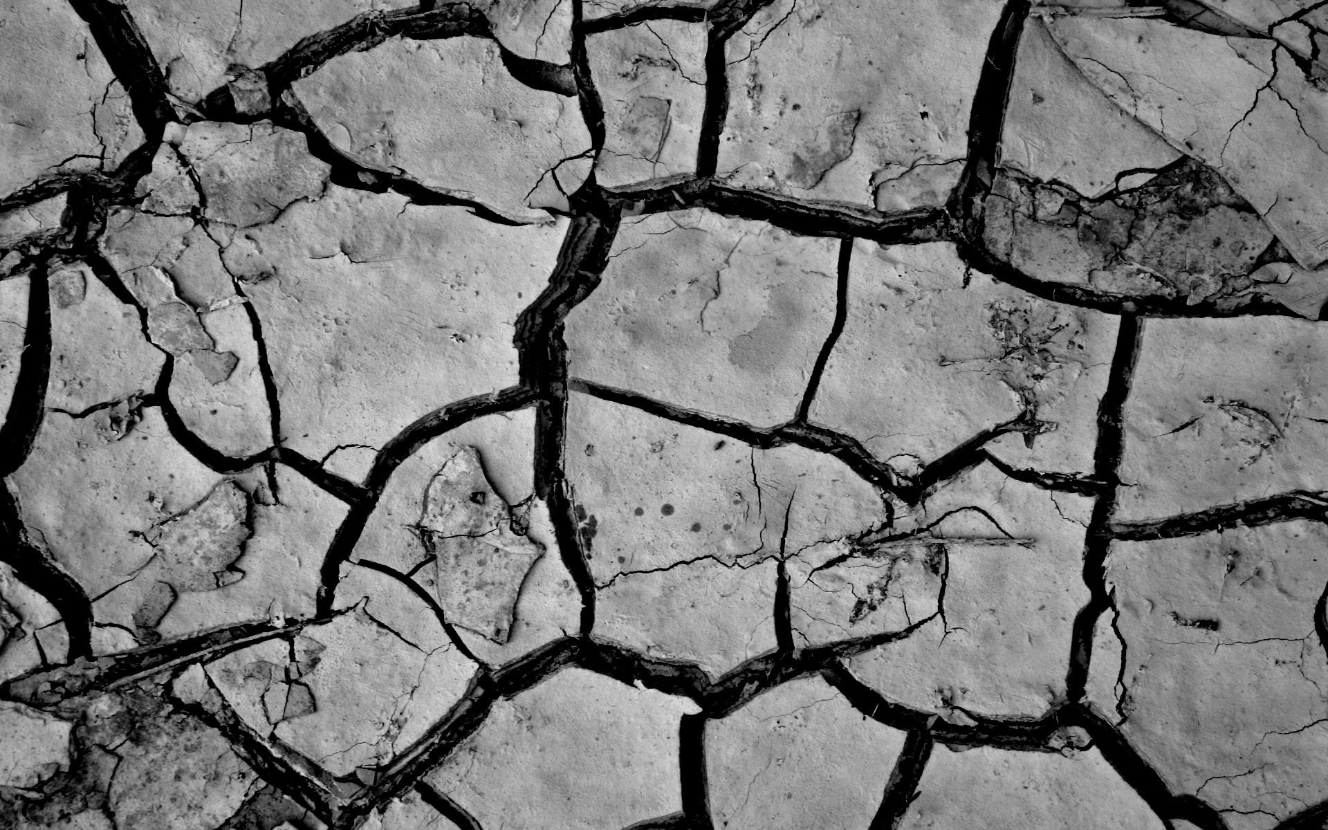 nature land crack break close up