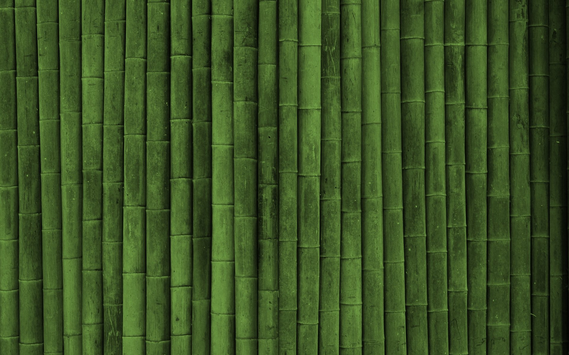 bamboo texture green style