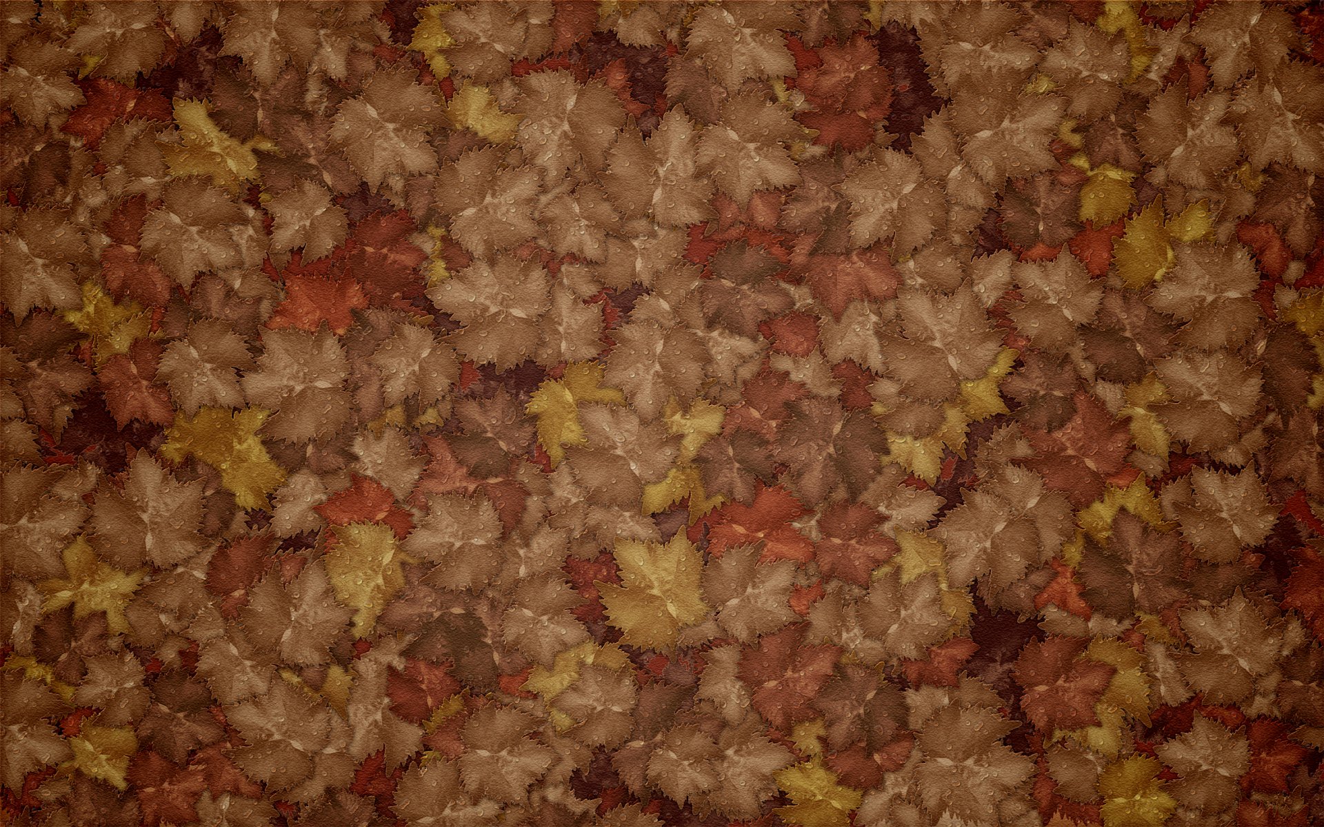 листья осень капли роса