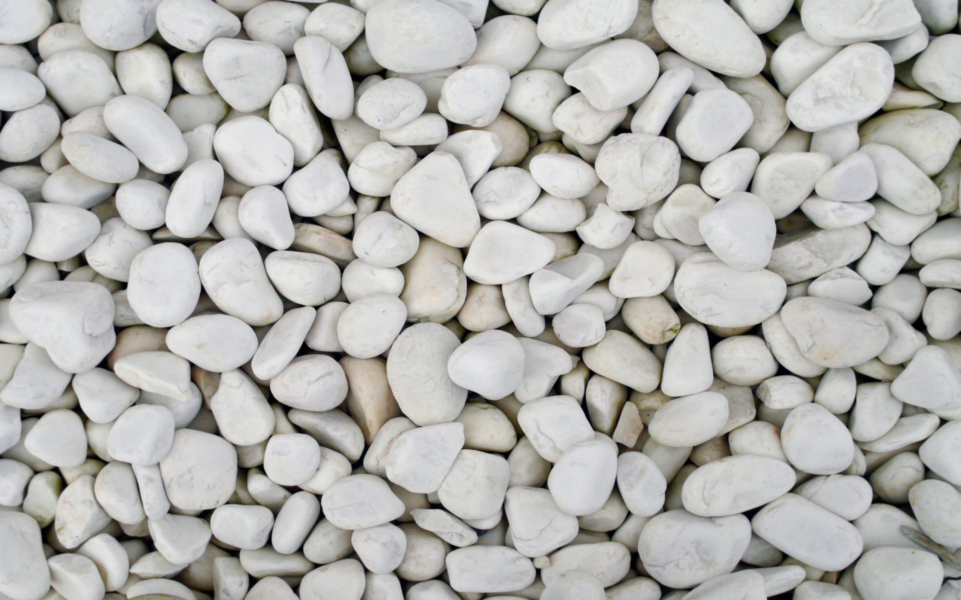 guijarros blanco piedras