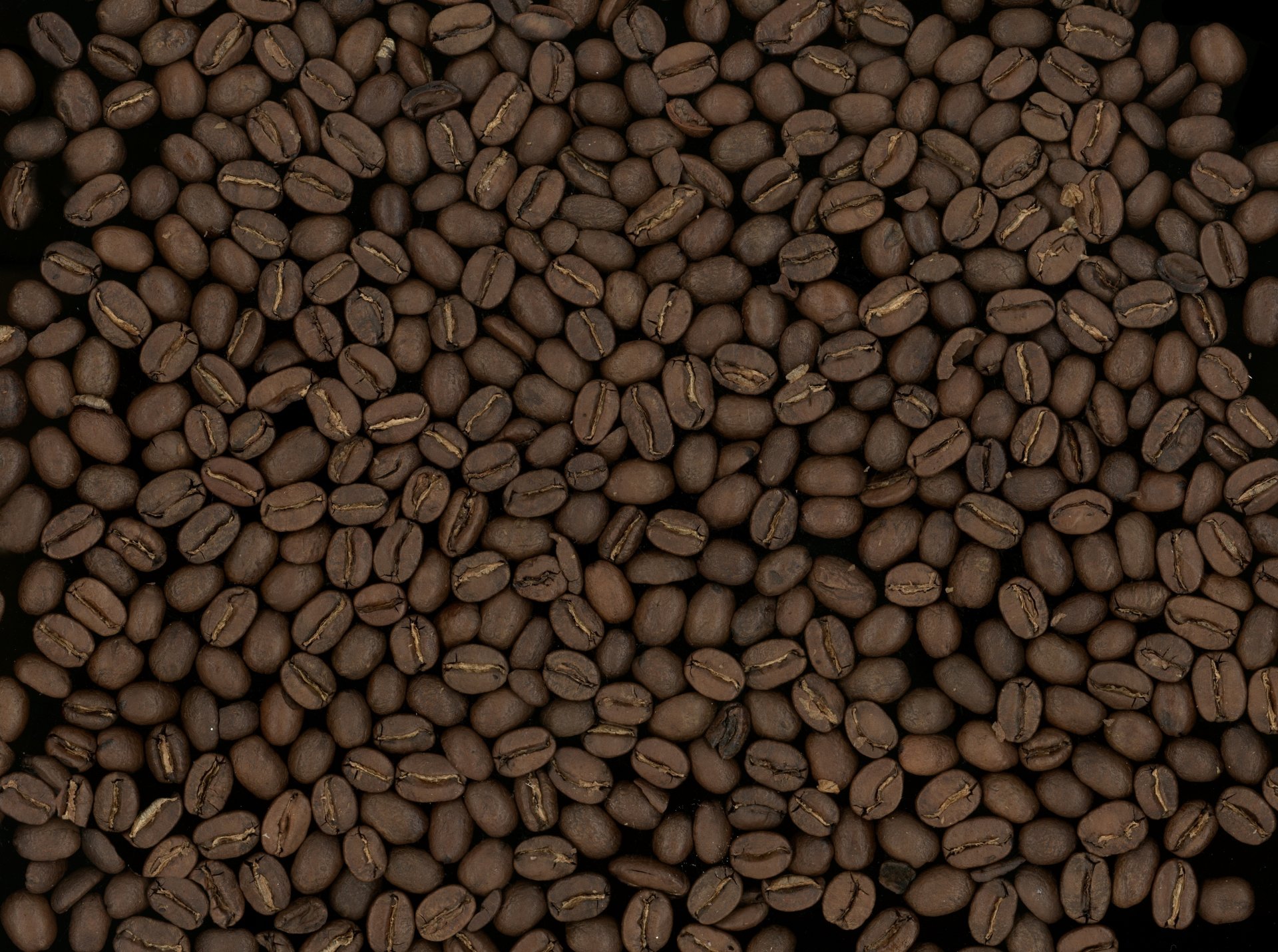 makro kaffee getreide hintergrund textur