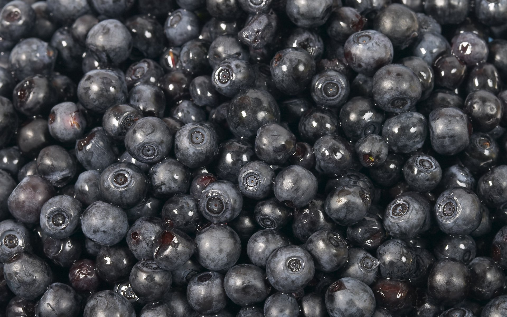 blaubeeren süß