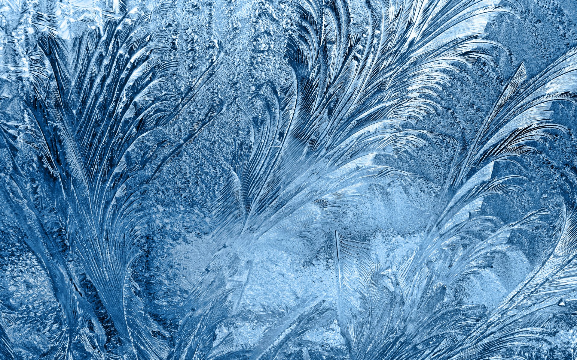 frosted glass frozen