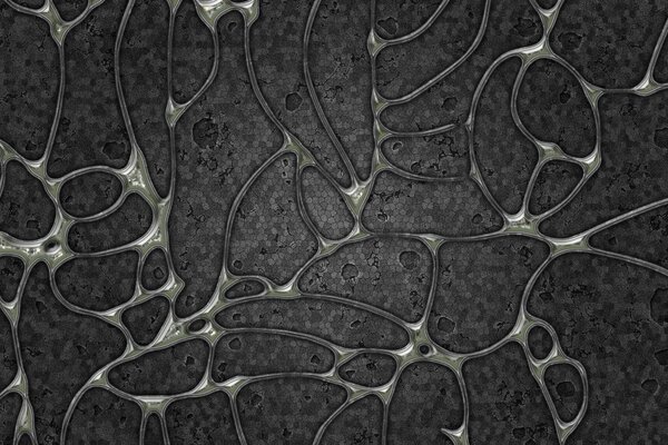 Gray cell shells background