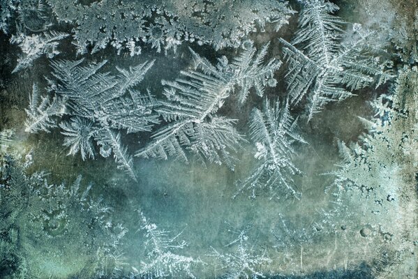 Macro shot of frost on the glass in winter