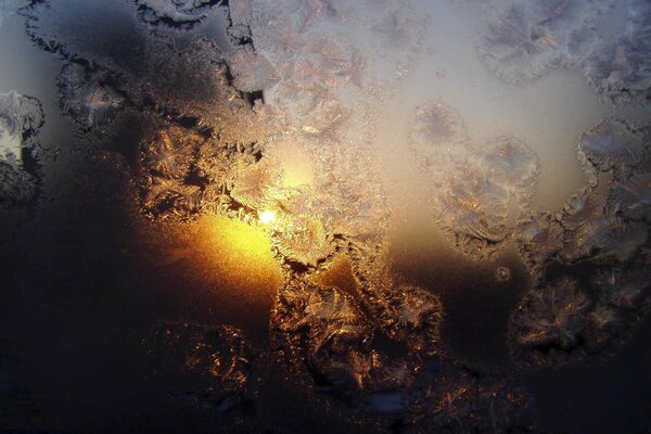 Frost on the winter glass