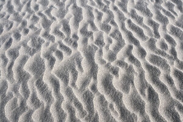 Wind tracks on the sand