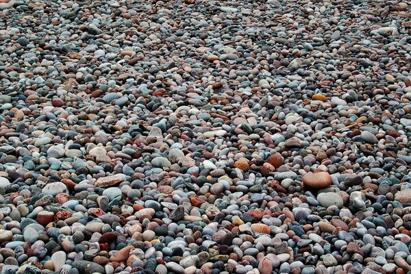 Wiele małych kamieni na plaży w wiosce