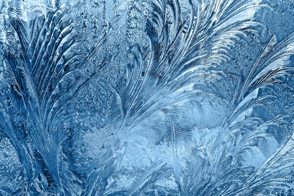 Beautiful texture - frozen windows