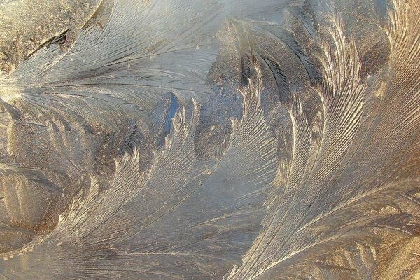 Hiver rigoureux. Motifs de glace sur le verre