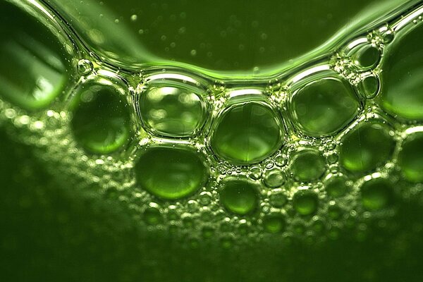 Bolle nel liquido verde