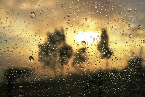 Reflet du coucher de soleil à travers les gouttes de pluie sur le verre