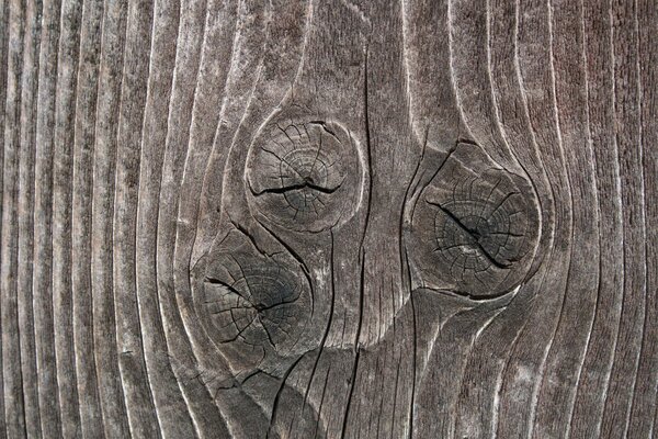 Textura de madera con nudos y rayas