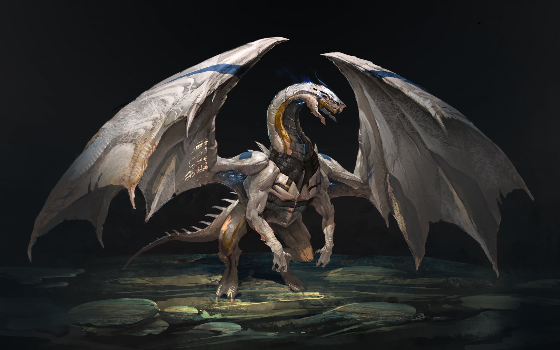 art dragon wings