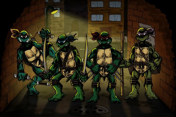 Teenage Mutant Ninja Turtles auf der Straße im Licht einer Laterne