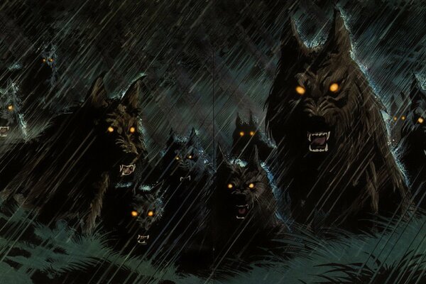 A fierce pack of wolves in the rain